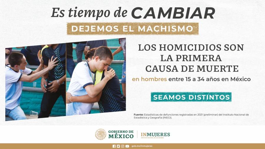 masculinidadesinmujeres_grafico3.jpeg masculinidadesinmujeres_grafico3.jpeg